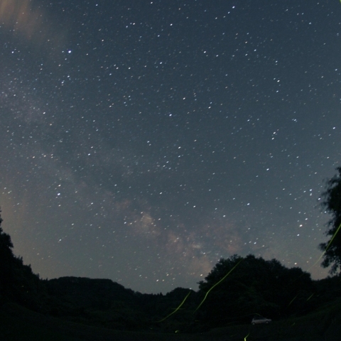 家の近くで蛍と星を