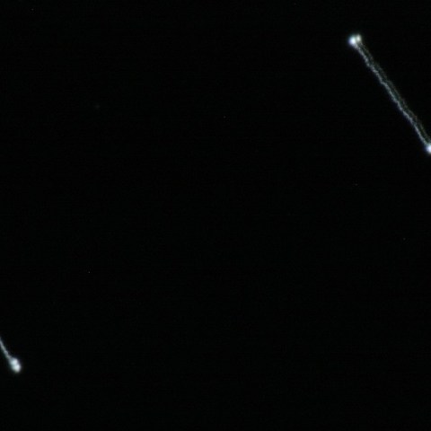 こと座イプシロン