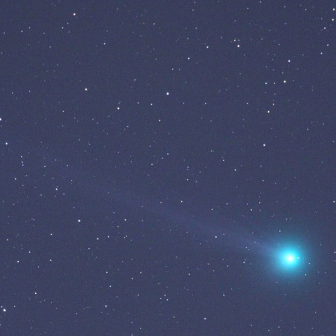 今日のﾗﾌﾞｼﾞｮｲ彗星