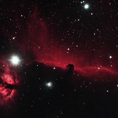 馬首星雲付近　231104