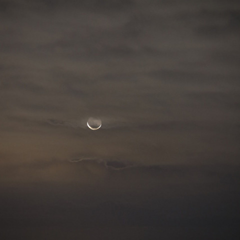 雲に浮かぶ月　　231110