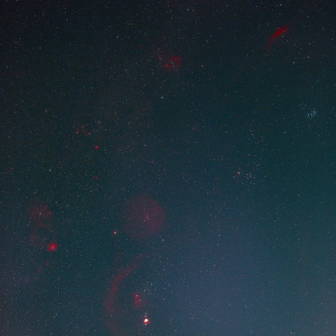 紅葉模様　　231110