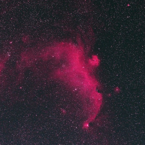 わし星雲　　231114