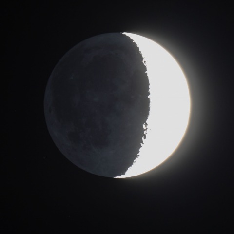 月齢5.0　　231118