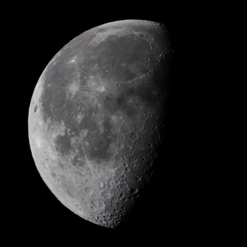 月齢20.2　　231203