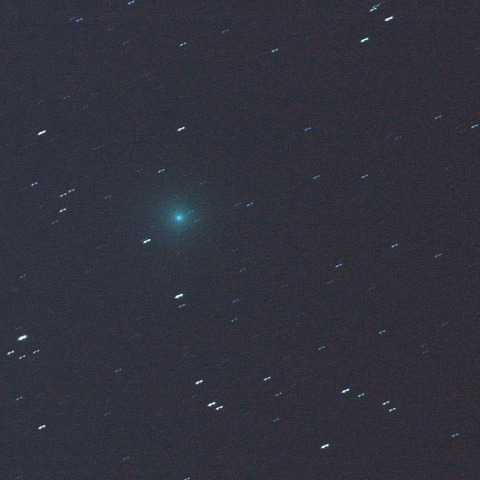 紫金山彗星（62P)     231215