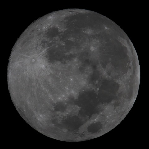 月齢13.7　　231227