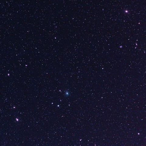 紫金山彗星（62P)　　240211