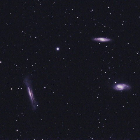 しし座のトリオ銀河　　240210