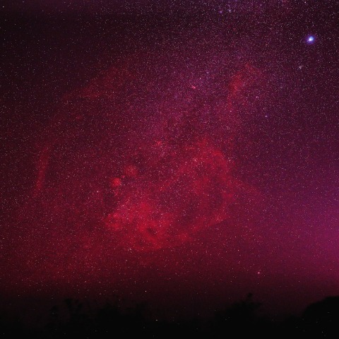 ガム星雲  240210