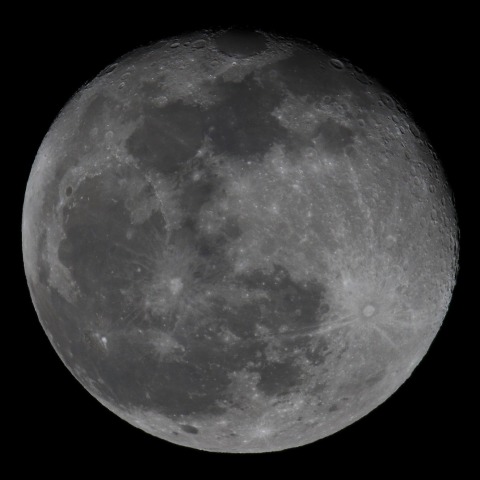 月齢16.6　　240226