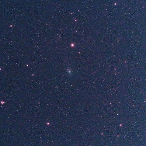 紫金山彗星(62P) 240303