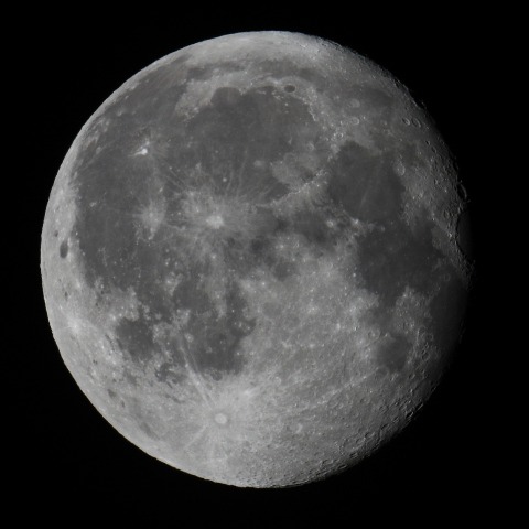 月齢17.4　　240328