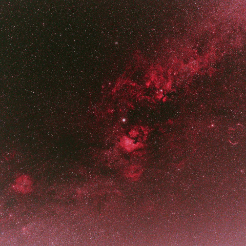 デネブ周辺の散光星雲　240612