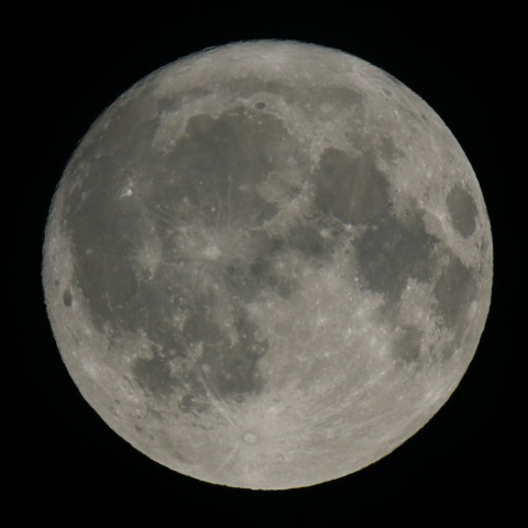 月齢15.2　　240622