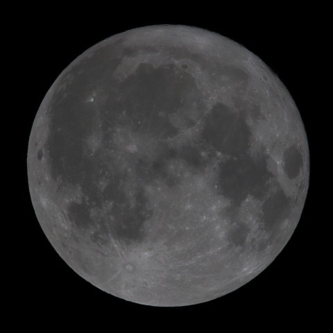 月齢15.6　　240721