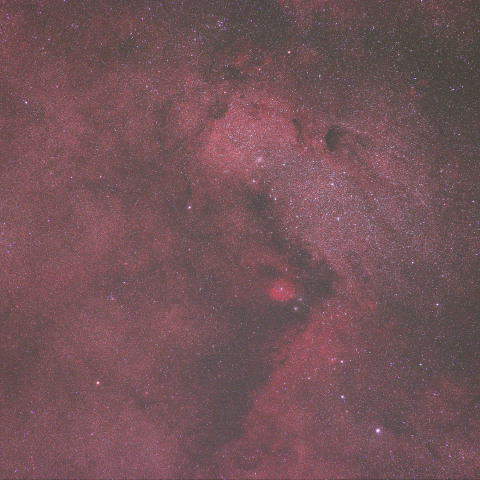 バンビの横顔付近　240802