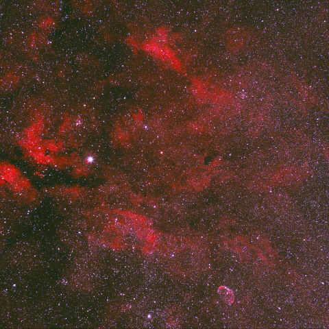 はくちょう座　γ星付近の散光星雲　240803