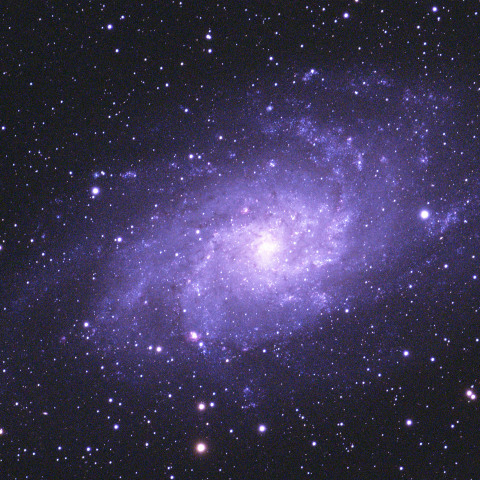 M33　　240812
