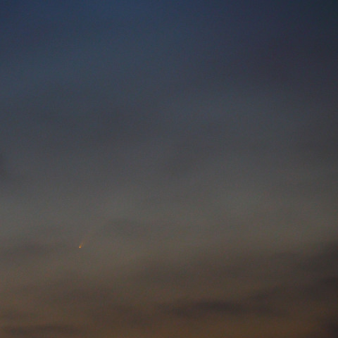 紫金山・アトラス彗星　241002