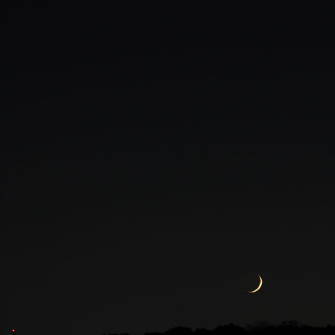 月と金星の接近　　241104