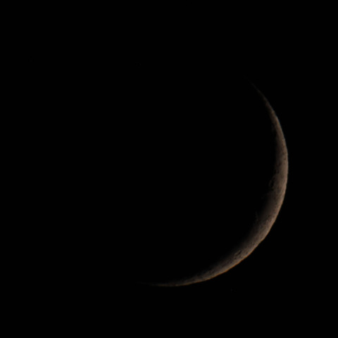 月齢2.8　　241104