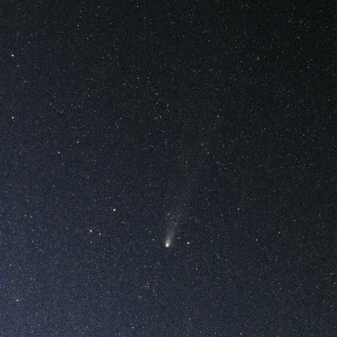 紫金山・アトラス彗星　C2023A3　　241103