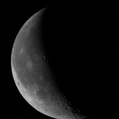 月齢23.3　　241125