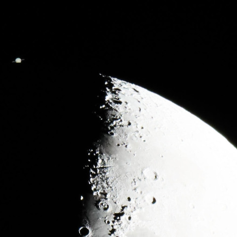 土星食（潜入）　241208