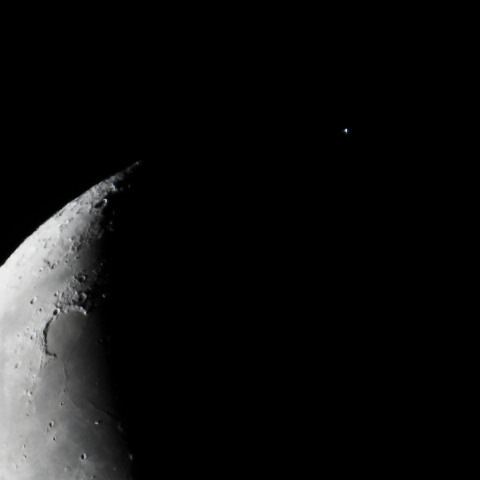 スピカ食（出現）　241225