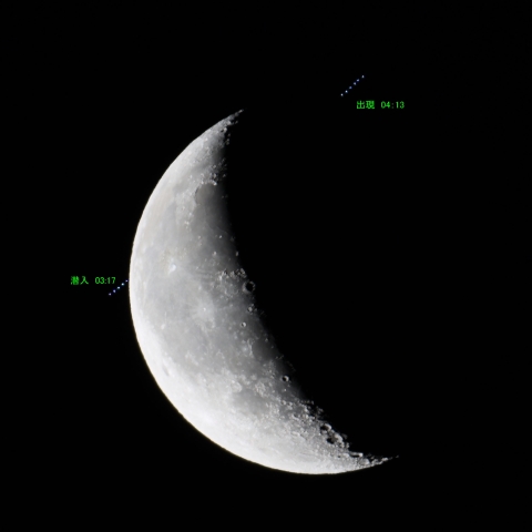スピカ食（経過）　241225