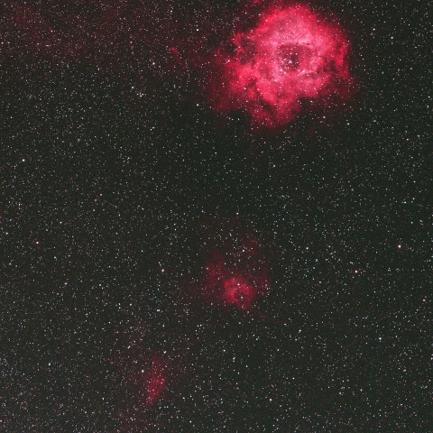 ばら星雲南部付近　241223