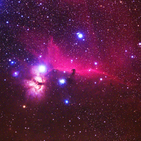 馬の首星雲付近の空域　　241231