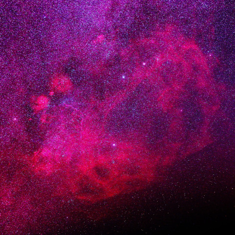 Gum星雲 250130
