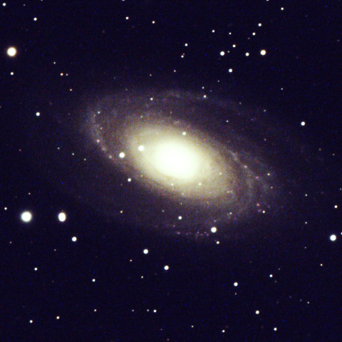 Ｍ81　241230