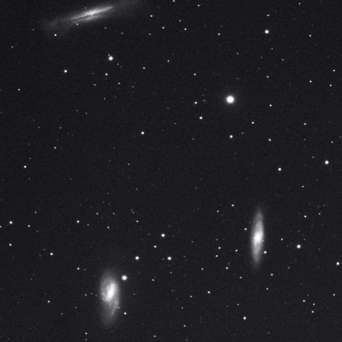 しし座トリオ　250208