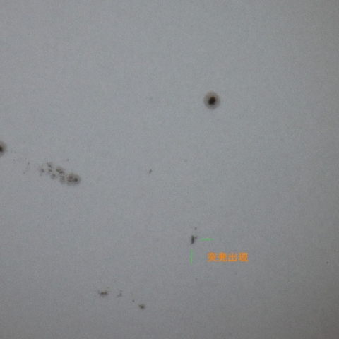 太陽黒点群    250404