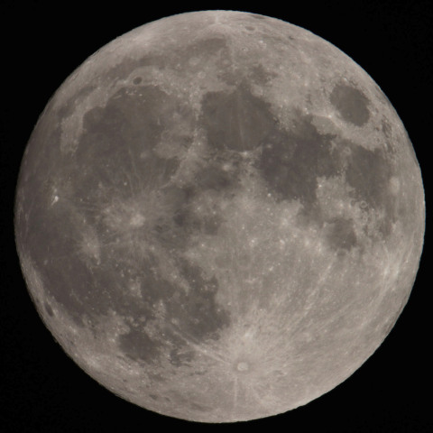 月齢14.0  　  250412