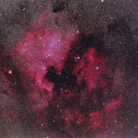 北アメリカ星雲とペリカン星雲付近  250803