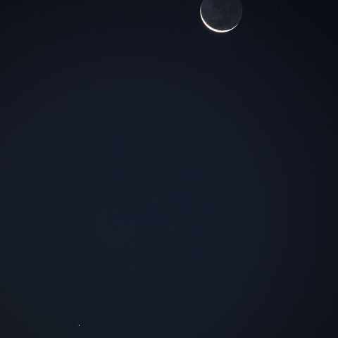 月と水星の接近　　260219