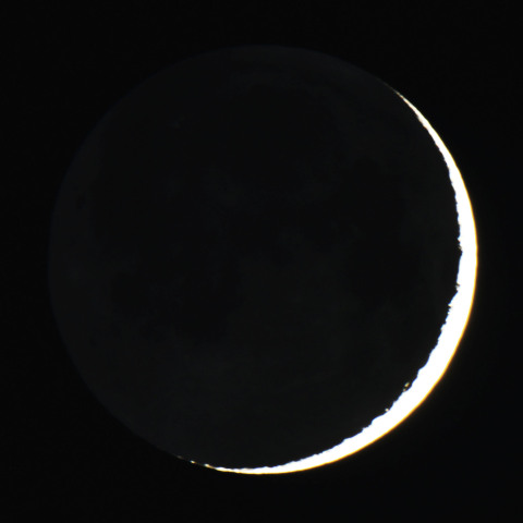 月齢1.9　　260219