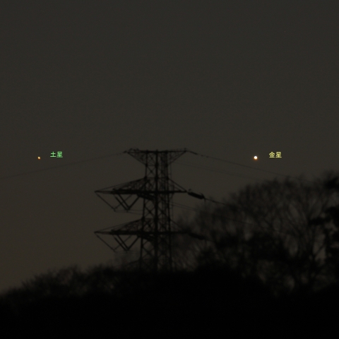 金星と土星の接近　　260308