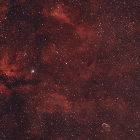 はくちょう座γ星付近の散光星雲　　260614