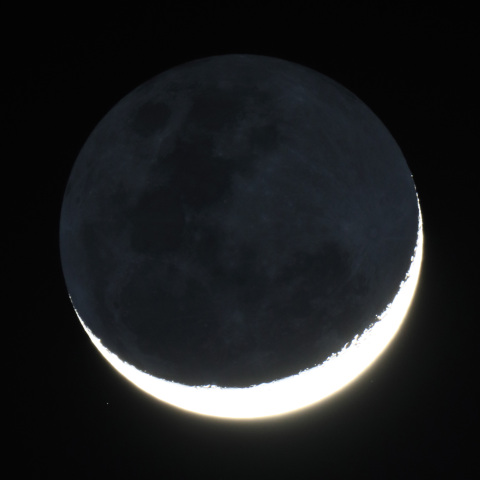 地球照　2601008