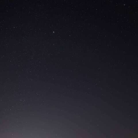 カノープス　230121