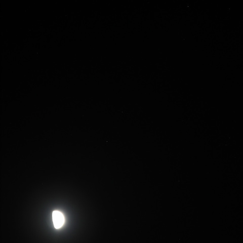 月　ポックス　カストル　230330