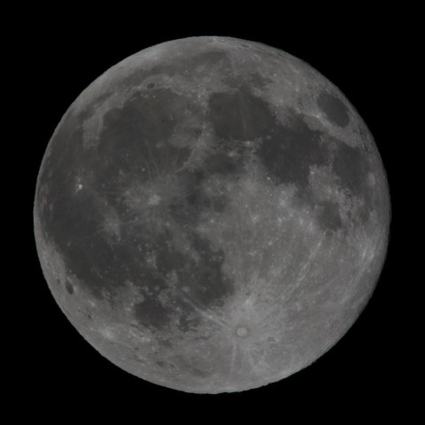 月齢15.9　   230406