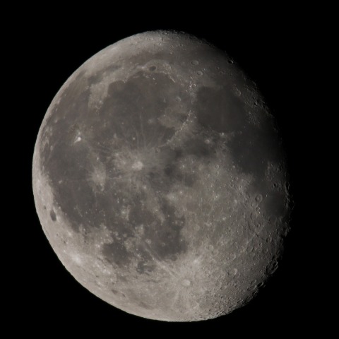 月齢18.9　   230409