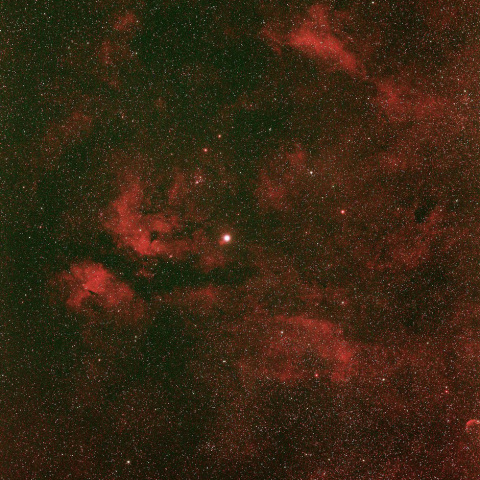 IC1318(γ星付近）　230518