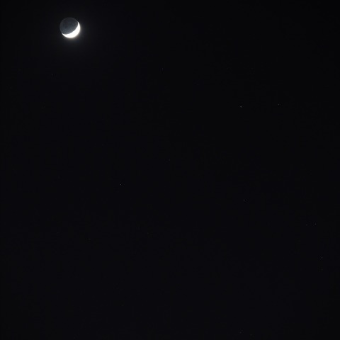 金星　ポルックス　月　230524